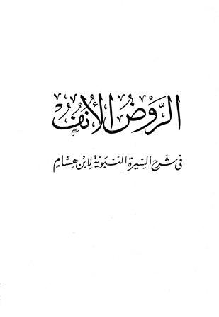 الروض الأنف في شرح السيرة النبوية لابن هشام ومعه السيرة النبوية للإمام ابن هشام - ت: الوكيل